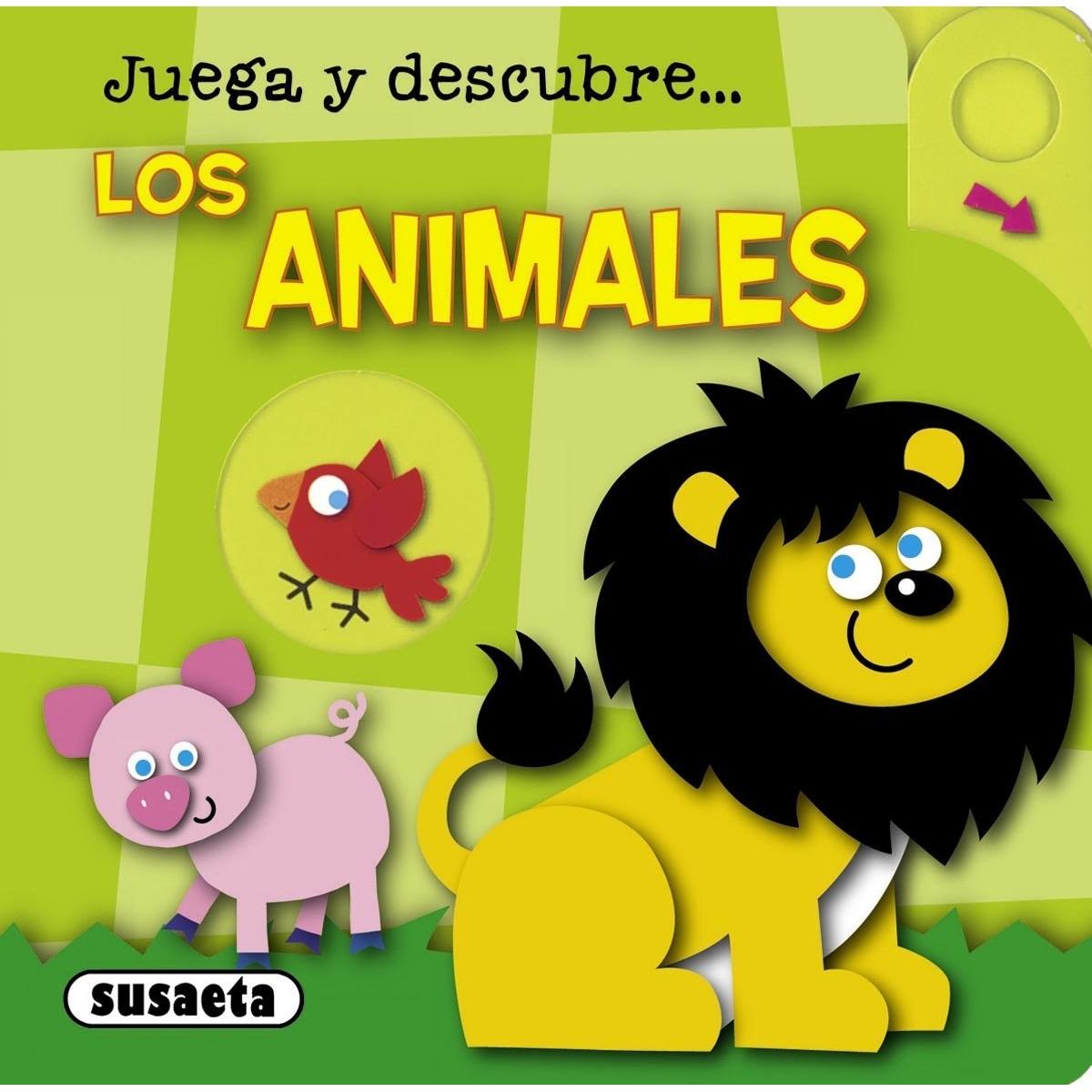 Imagen Principal