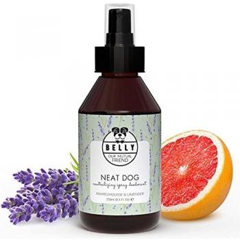 BELLY Colonia para Perros, Esencia Lavanda y Pomelo - Colonia Perros Cachorros y Adultos - Perfume Perro, Refrescante e Hidratante - Desodorante Perro, Aroma Duradero - Colonia Mascotas Vegana, 250ml