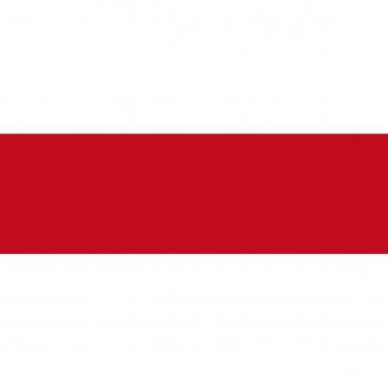 Dintex 71-011 - Vinilo autoadhesivo uni-color, 67,5 cm x 2 m, color rojo
