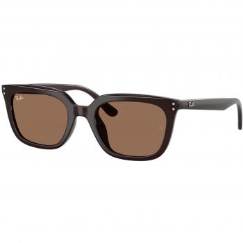 Ray-Ban RB4439D Unisex Squadrata Sunglasses Brown 623173 Size 54 Asian Fit