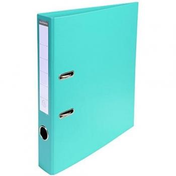 Exacompta 53503E Classeur à Levier PVC 2 Anneaux Format A4 Dos de 50 mm Vert Clair
