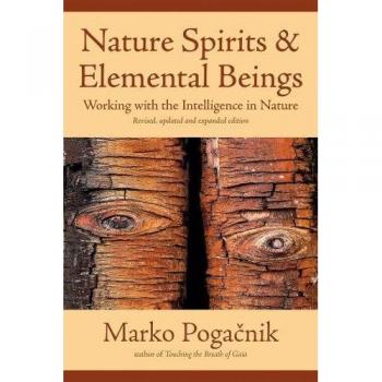 Nature Spirits and Elemental Beings: Working with the Intelligence in Nature: Revised, Updated and Expanded Edition