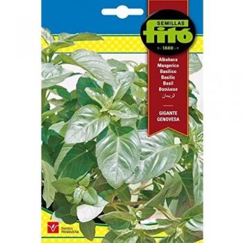 Semillas Fitó 1710 - Albahaca Gigante Genovesa