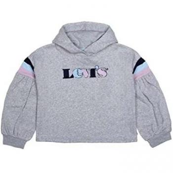Levi's Kids Girl's Lvg Full Sleeve High Rise Hood Sweatshirt, Light Grayheather, 2 Years