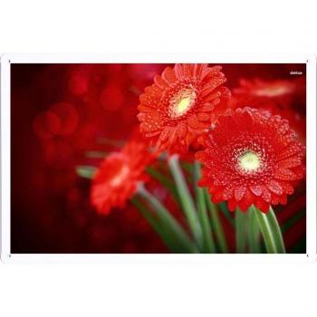 Metal cartel Cartel de chapa Hojalata sesión Flower Tin Sign #31116 Red Gerbera Retro Vintage Pared Decoración by hamgaacaan