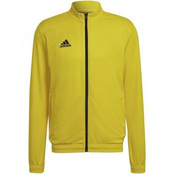Chaqueta de fútbol adidas Entrada 22 hombre amarillo
