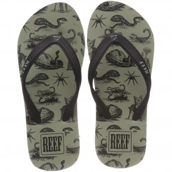 Reef Switchfoot Prints, Chanclas para Hombre, Verde