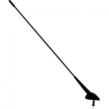 Antena universal de techo negra CARPOINT 2010041
