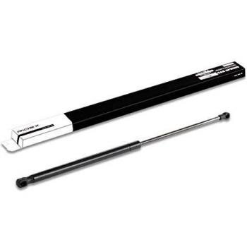Amortiguador de maletero RIDEX 219G0348 para SEAT Ibiza III Schrägheck (6L)