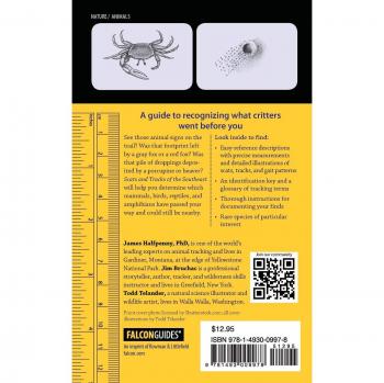 Southeast Wildlife Scat and Track Field Guide: Signs of 70 Species