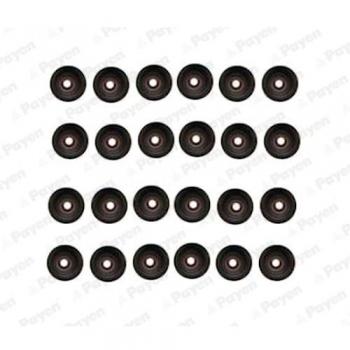 Juego de juntas vástago de válvula Payen HR5107, incluye juntas de alta calidad diseñadas para garantizar un sellado óptimo en el sistema de válvulas del motor, compatible con diversas marcas y modelos de vehículos