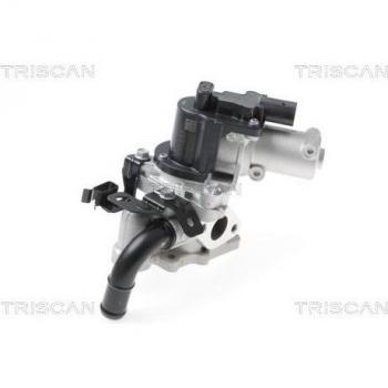 Válvula EGR TRISCAN 8813 43017 con características de recirculación de gases de escape, diseño específico para vehículos, alta calidad y durabilidad, compatible con múltiples modelos automotrices