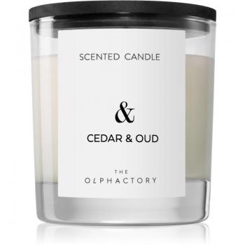 Vela aromática Ambientair Breathe Cedar & Oud 200 g 24 horas
