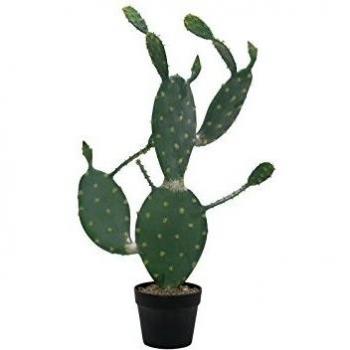 Europalms 82600064 - Cactus Artificial