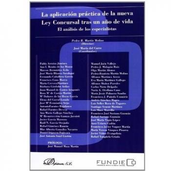 La Aplicación Práctica De La Nueva Ley Concursal Tras Un Año De Vida. El Análisis De Los Especialistas