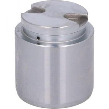 Pistón y émbolo de pinza del freno AUTOFREN SEINSA D0-25704