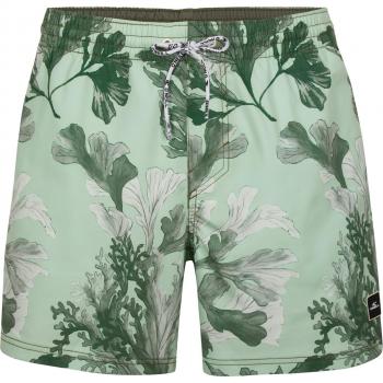 O'Neill Origin Oyster Men's Swim Shorts