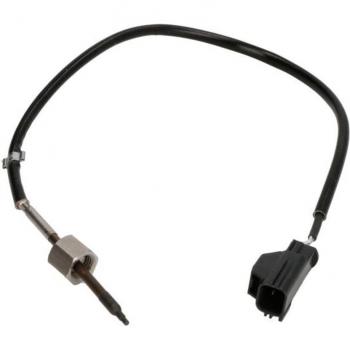 Sensor de temperatura de los gases de escape DELPHI TS30189