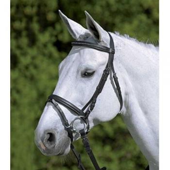 Brida de equitación Star Diamond con muserola combinada en marrón y fucsia