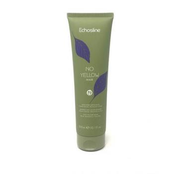 Echosline Vegan No Yellow Hair Mask 300ml - Anti-Yellowing Treatment