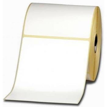 Zebra Label roll 102 x 165mm Permanent, Paper, Economy, 76181