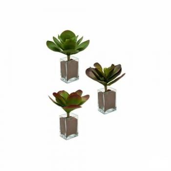 Ibergarden Planta Decorativa Hojas Grande Bicolor Plástico 27 x 29 x 27 cm (6 Unidades)