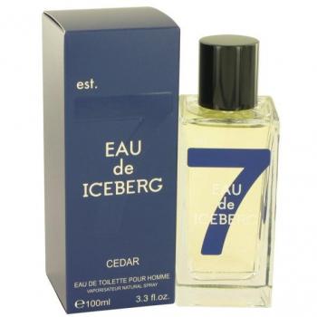 Iceberg Eau De Iceberg Cedar 100ML Eau De Toilette Spray