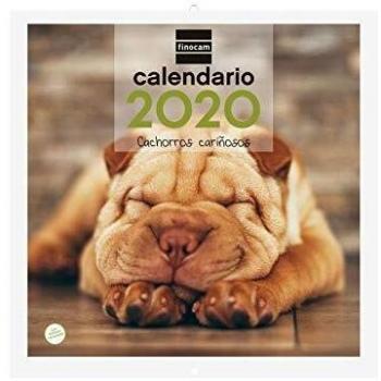 Finocam - Calendario de pared 2020 Imágenes 30x30 Cachorros español
