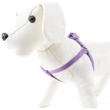 ARNÉS PARA PERROS NAYECO BASIC LILA NYLON 10mm x 15-25cm TALLA S