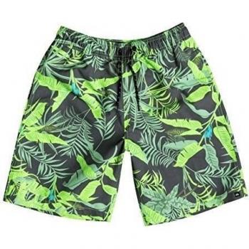Short de baño Botanic 17 Green Gecko Jr - Quiksilver verde 12 años
