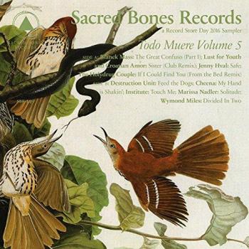 Everything Dies Volume 5 / Various Artists