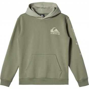 Quiksilver - Sudadera de niños con capucha verde Logo Quiksilver
