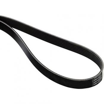 DAYCO Correa trapecial poli V