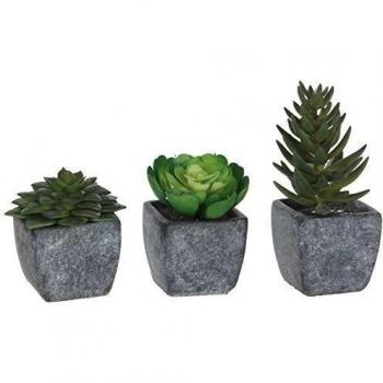 Mica decoraciones planta de 930.444 t Kunstblume -y-, Conjunto de 3 altura Suculento 10 cm verde, en un recipiente de 5 x 5 cm gris