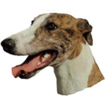 Pegatinas Difac Greyhound (x4)
