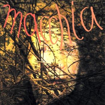 Macchia Forest Vinyl Decor