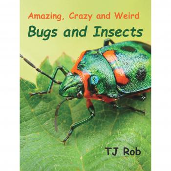 Bichos e Insectos Asombrosos, Locos y Raros