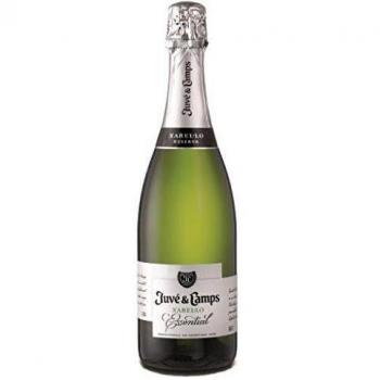 Juvé Y Camps - Cava brut reserva juve & camps essential