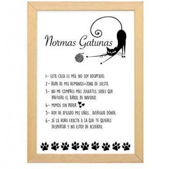 Cartel Decorativo de Pared Normas Gatunas 35 x 25 cm