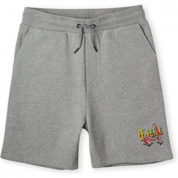 O'Neill Kids Surf Dude Swim Shorts