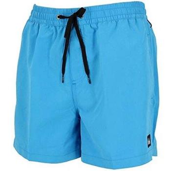 Quiksilver Everyday 15 Swim SRT Pantalones Cortos De Natación, Hombre, Morado