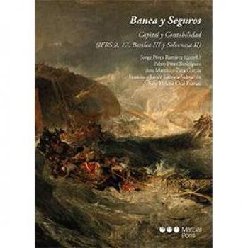 Banca y seguros: Capital y contabilidad