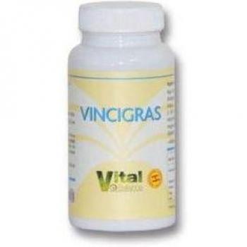 Vital Balance Vincigras 60 Cápsulas
