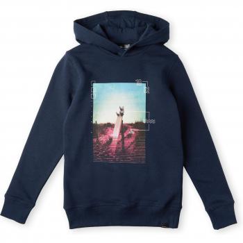 O'Neill Surfboard Kids Hoodie