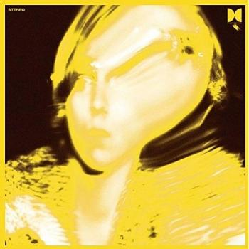 Ty Segall Twins 2012 USA vinyl LP DC530