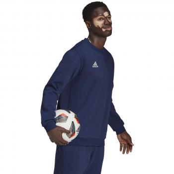 adidas ENT22 Sweatshirt Navy M male