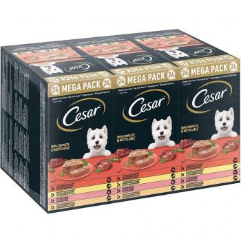 Cesar Clásicos en tarrinas 24 x 150 g - Megapack