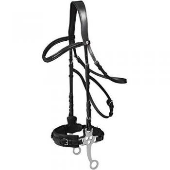 Brida Hackamore de Cuero Waldhausen, Negra - Tamaño Cob