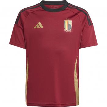Adidas Camiseta Equipación Infantil Belgique 2023/24 - Púrpura - Talla: 171 - 176 CM - Loneta de algodón