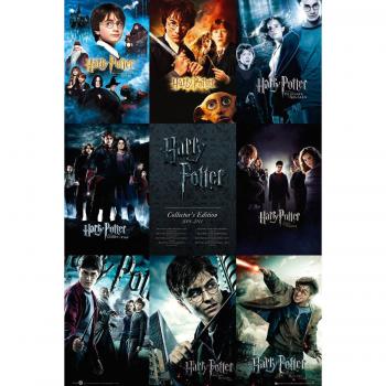 Póster Coleccionista Maxi Harry Potter Collage 61 x 91,5 cm - Decora Tu Hogar